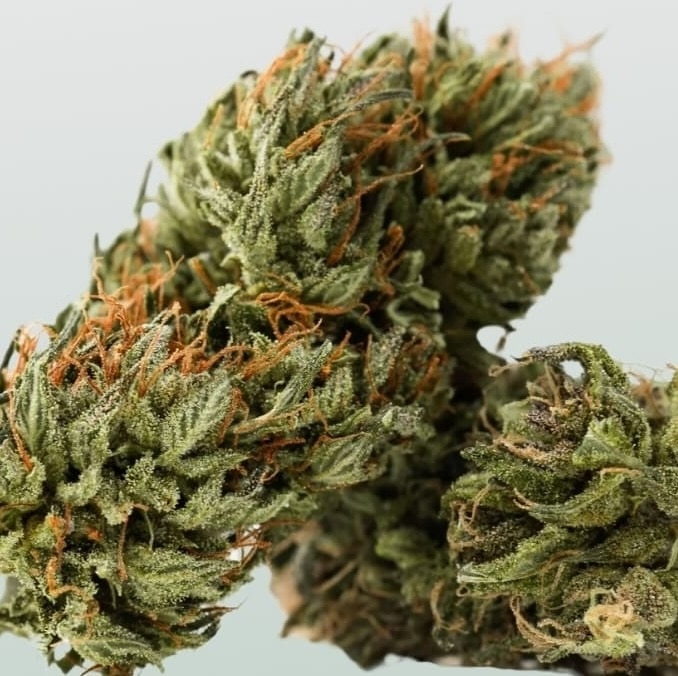elfbar nachfüll pod läuft aus CBD Shop Belfort 90 Pas Cher
